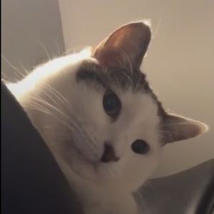 Meet your Posher, Aubree